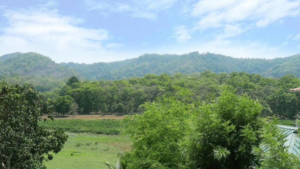 Hill Green Home Stay Thekkady Kültér fotó